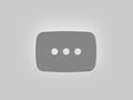 How to search and download files with FrostWire Wynwood (5.6)
