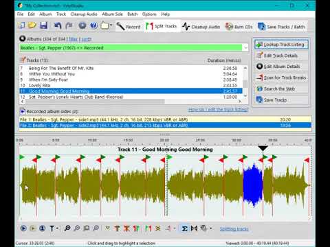 VinylStudio Track Splitting Tutorial