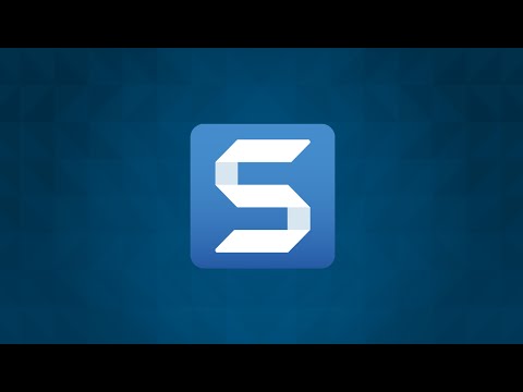 Snagit Overview