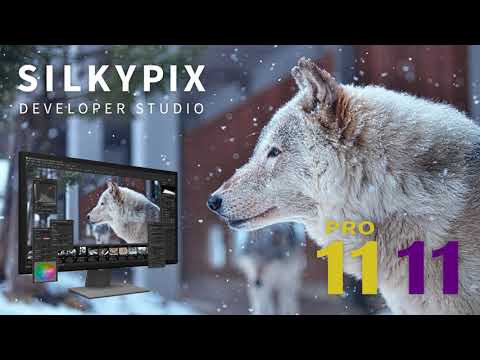 &quot;SILKYPIX Developer Studio Pro11&quot; promotion movie