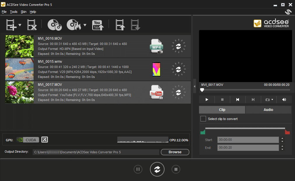 ACDSee Video Converter Pro 5 screenshot